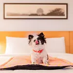 Ibis Chennai City Centre - An Accor Brand